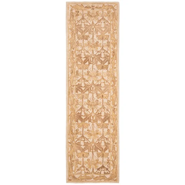 Safavieh Anatolia AN541B Area Rug - Ivory/Gold - Size: 6 x 9 ft.