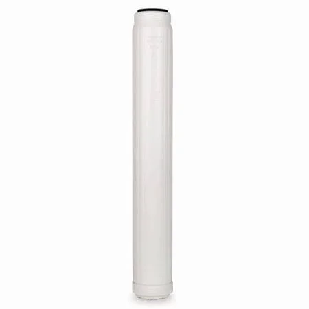 Proselect PSWFDSRCAS20 Inline Descaler Replacement Filter