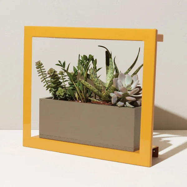 Modern Sprout Smart Growframe - Mustard