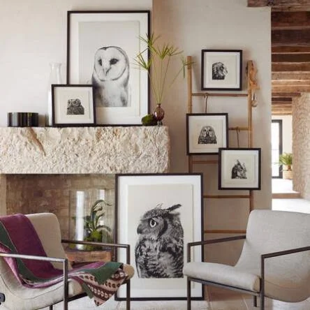 Sundance Catalog Owl Prints Large