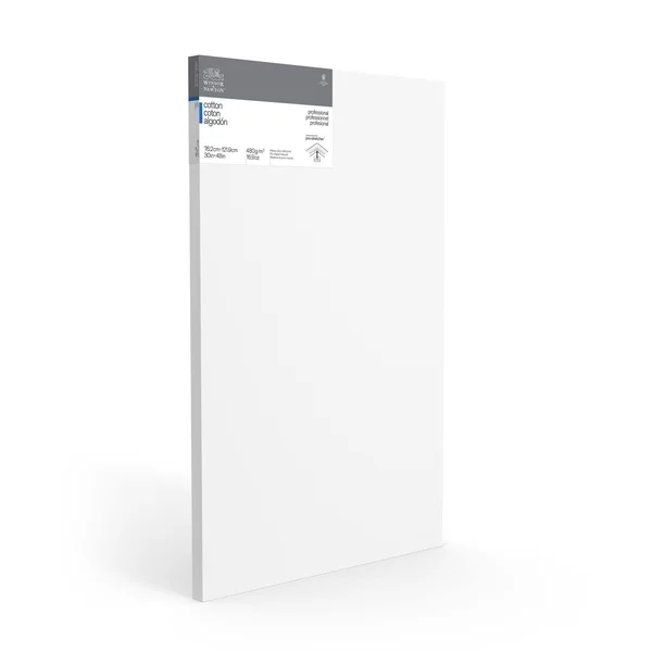 Winsor & Newton Professional Cotton Canvas, 30x22 x 48x22 Deep Edge