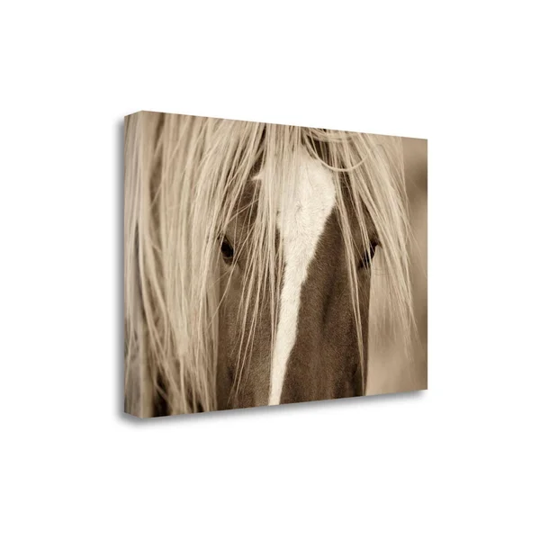 The Blonde by Lisa Dearing - 31x22 x 20x22 Fine Art Giclee Print on