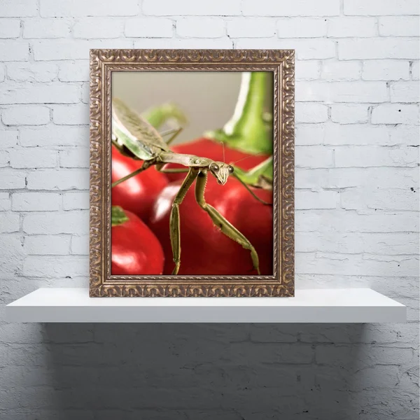Trademark Fine Art Praying Mantis & Pepper 2 inch Canvas Art by Jason Shaffer, Gold Ornate Frame, Size: 16 x 20