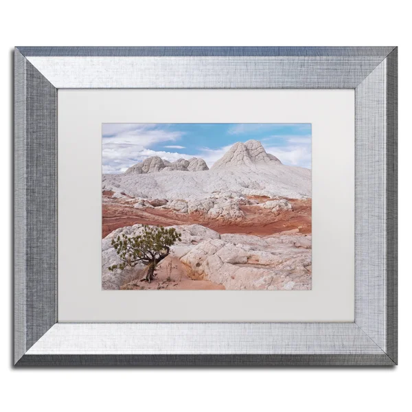 Trademark Fine Art Tree on Brain Rocks by Michael Blanchette Framed Photographic Print - Matte Color: White - Size: 16x22 H x 20x