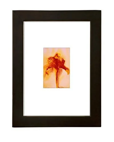 Ambiance Gallery Wood Picture Frame for Stretched Canvas, Artist Panels and Art Boards [Single Frame] 20x24 - Black
