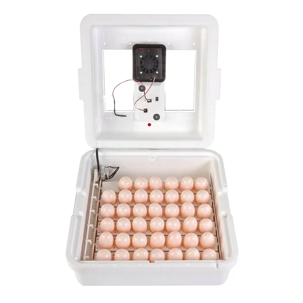 Little Giant 9300 Digital LCD Still Air Incubator for 41 Eggs - White