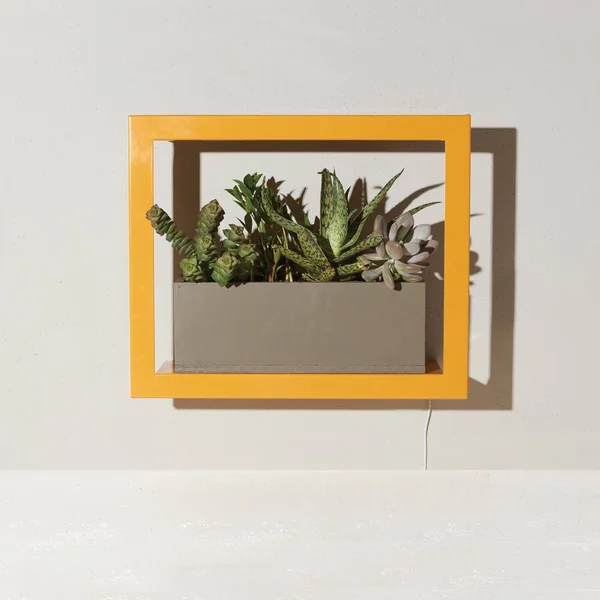 Modern Sprout Smart Growframe - Mustard