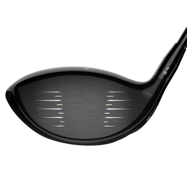 Titleist TS2 Driver