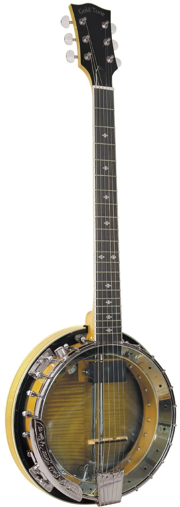 Gold Tone GT-750 Banjitar