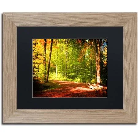 Trademark Fine Art &Breaking The Fall Silence& by Philippe Sainte-Laudy Framed Graphic Art - Mat Color: Black, Size: 11x22 H x 1