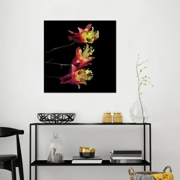 Magda Indigo Paintings Canvas Art Prints - Aquilegia x ( scenic & landscapes > Nature > Nature close-ups > Flora