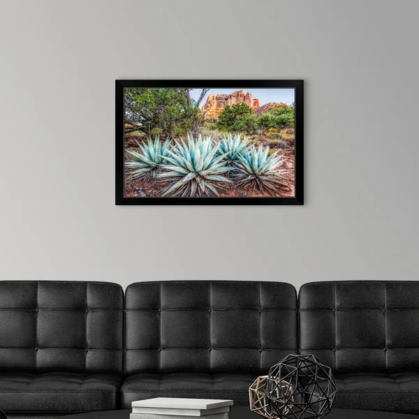 Agave Plants and Cathedral Rock, Sedona AZ, Black Framed Wall Art, 30x20, Great Big Canvas
