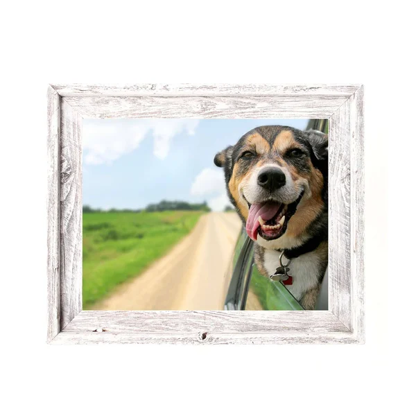 Rustic Farmhouse Signature Picture Frame, White Wash 12x12