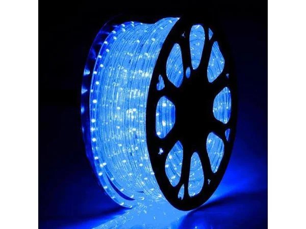 Delight 150 ft. 2 Wire LED Rope Light Holiday Valentine Party Decorative Lighting Blue