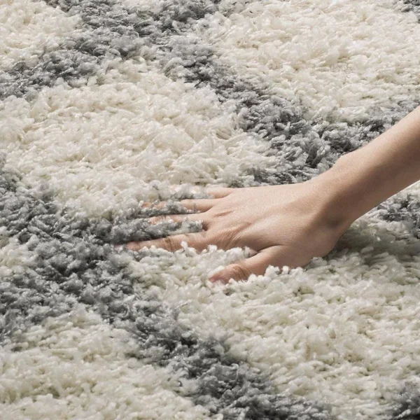 Safavieh Dallas Shag SGDS258F Ivory - Grey Rug 6& x 6& Round