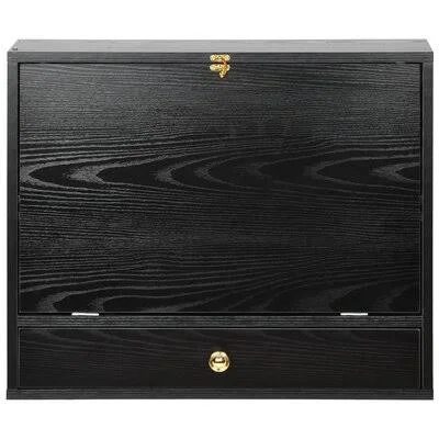 Imogean 23.6x22 W x 19.6x22 H x 5.9x22 D Solid Wood Wall Mounted Bathroom Cabinet Latitude Run Finish: Black