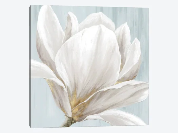 Eva Watts Canvas Wall Decor Art Prints - Soft White I ( Floral & Botanical art)
