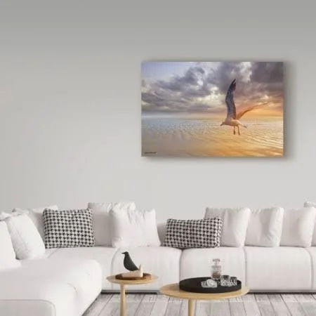 Trademark Fine Art 'Soft Sunrise on The Beach 4' Canvas Art by Carlos Casamayor - Size: 30 x 47