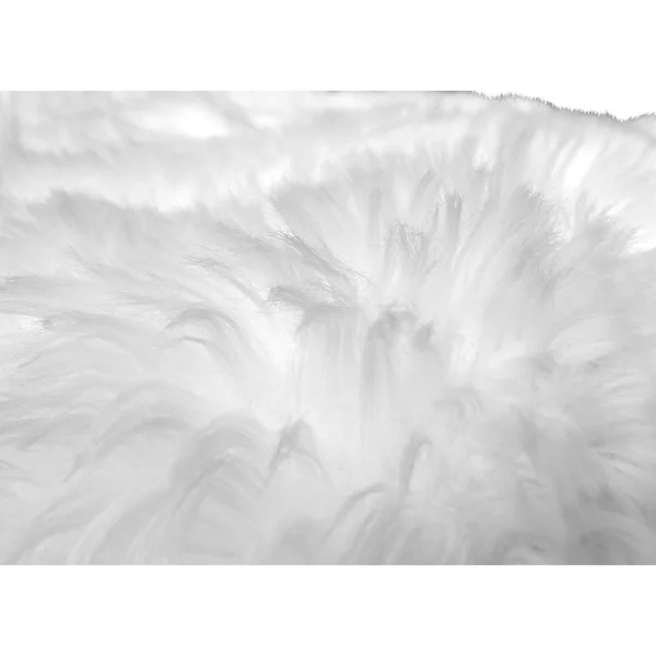 Walk on Me Rugs Llc 8x10 Soft and Plush Faux Sheepskin Shag Area Rug - Size: 8' x 10', Brown