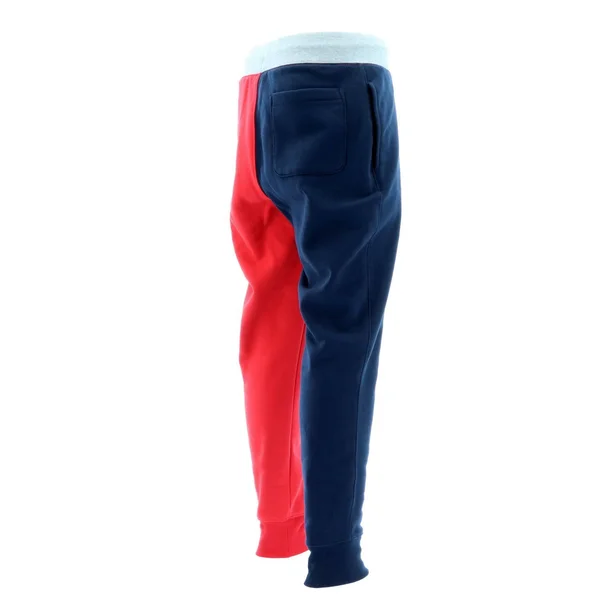 Champion Life Men's REVERSE Weave Colorblock Jogger