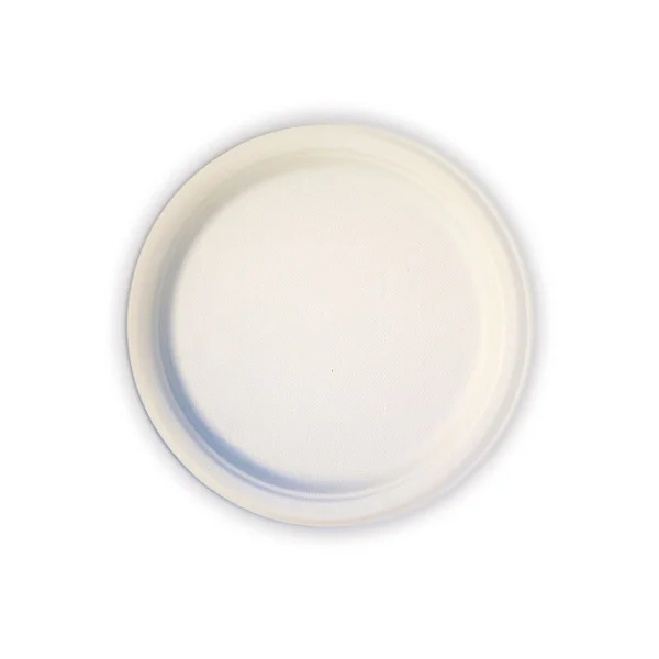Green Earth - Natural Bagasse (Sugarcane Fiber) Tree Free 10x22 Paper Plate, Biodegradable, Compostable (500 Counts Disposable