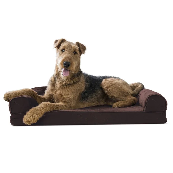 FurHaven Memory Foam Quilted Sofa-Style Pet Bed - Coffee, Large