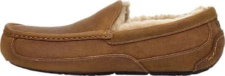 Ugg Ascot Tan - Men's, Size: 17, Brown