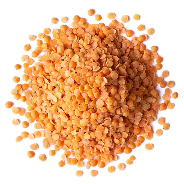 Organic Red Split Lentils - 20 Pounds - by Food to Live