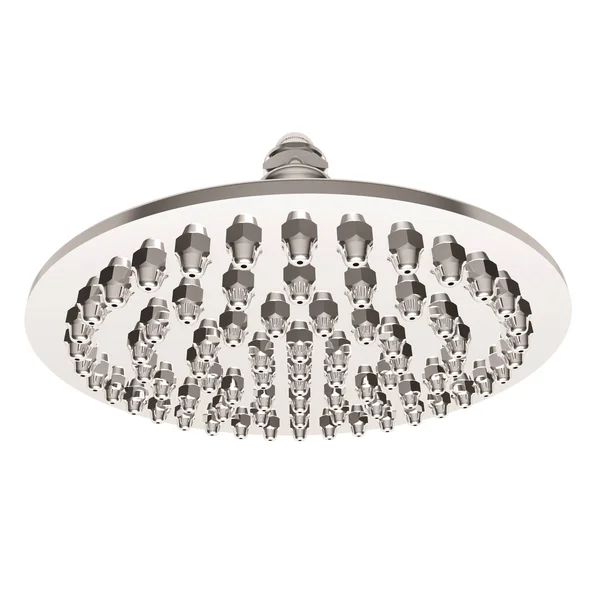Newport Brass 215/06 Single Function Shower Head Antique Brass