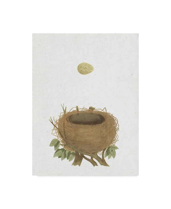 Trademark Fine Art 'Spring Nest II Crop' Canvas Art by Wild Apple Portfolio, Size: 14 x 19