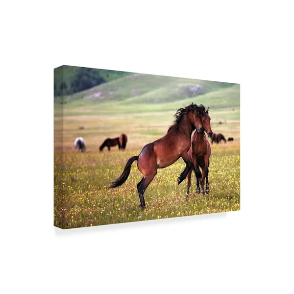 Trademark Art Vedran Vidak 'Horse Games' Canvas Art