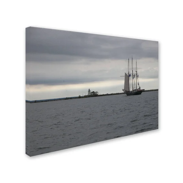 Trademark Global Monica Fleet 'Breaking Boundary' Canvas Art