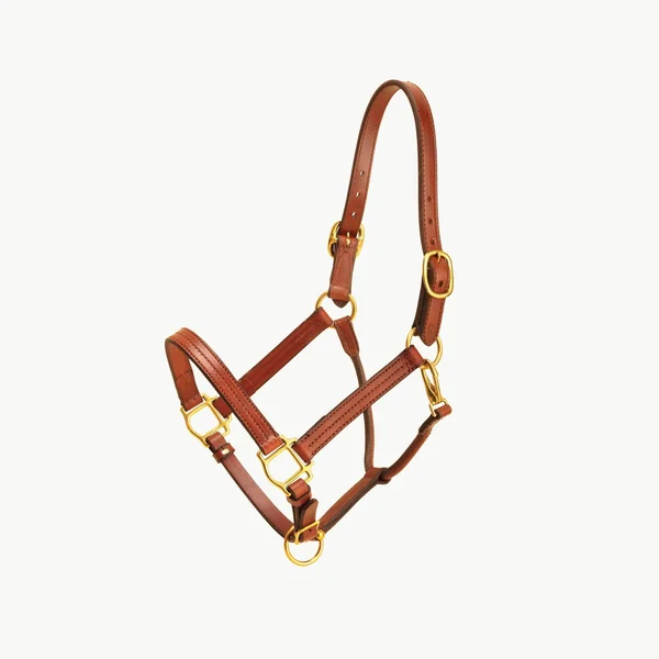 Tory Leather Triple Stitched Halter - Snap & Brass Hardware, Black