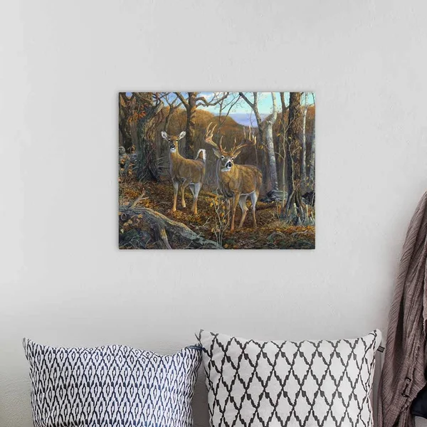 Oak Ridge Trophy Deer, Canvas Wall Art, 20x16, Great Big Canvas