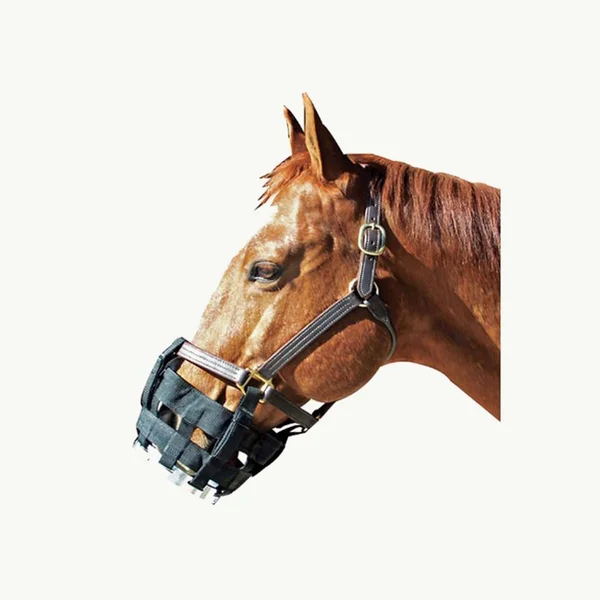 Best Friend Cribbing Muzzle COB