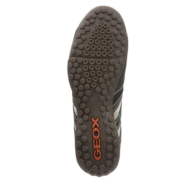 Geox Snake Shoes (Trainers) (Men)