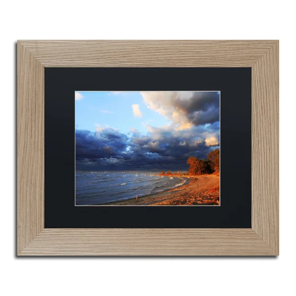 Trademark Fine Art &Lake Erie Autumn& by Jason Shaffer Framed Photographic Print - Size: 11x22 H x 14x22 W x 0.5x22 D - Matte Col