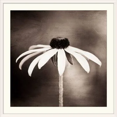 Kema Simply Stated& Carolyn Cochrane Photographic Print Ebern Designs Format: White Frame, Size: 20x22 H x 20x22 W x 1x22 D