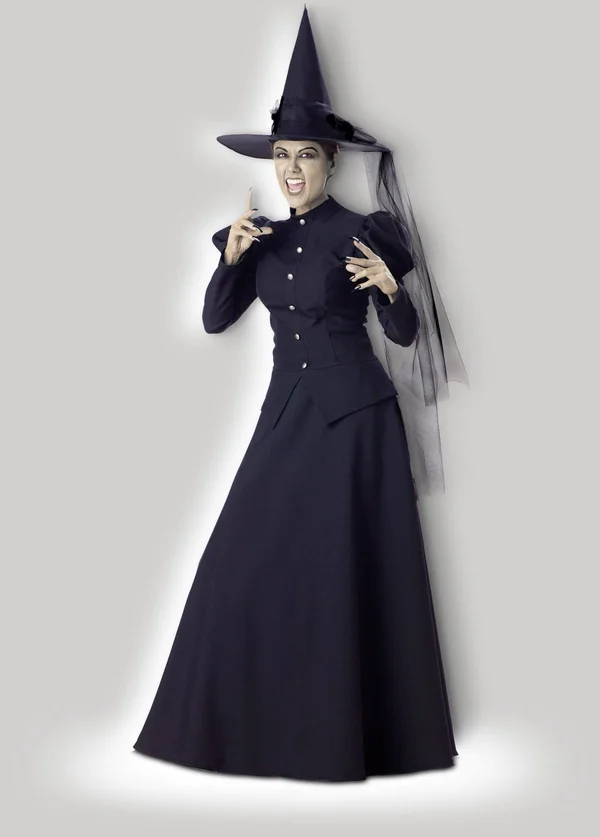 InCharacter Costumes Witch Elite Collection Adult Costume, Black, L