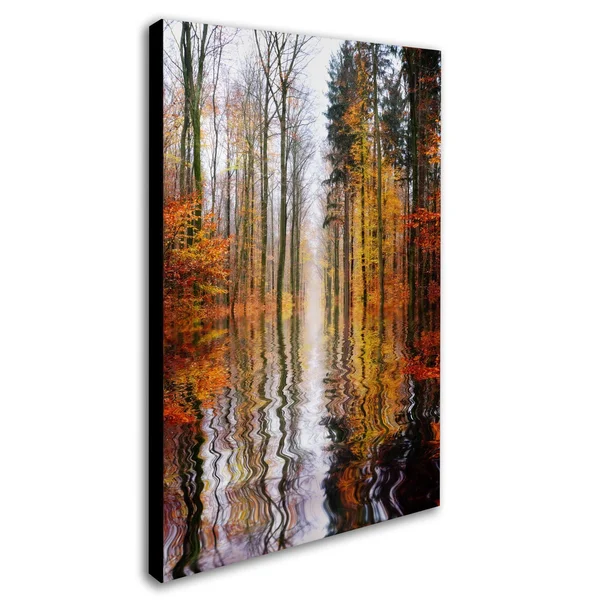 Trademark Global Philippe Sainte-Laudy &Higher Ground& Canvas Art