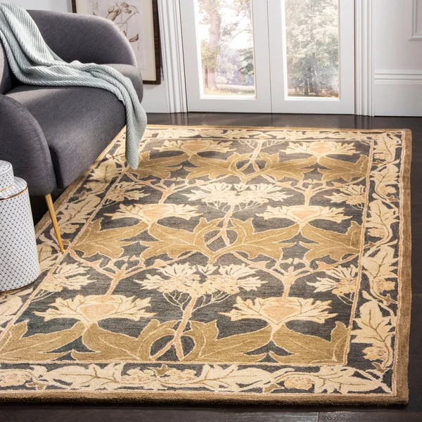 Safavieh Anatolia AN541B Area Rug - Ivory/Gold - Size: 6 x 9 ft.