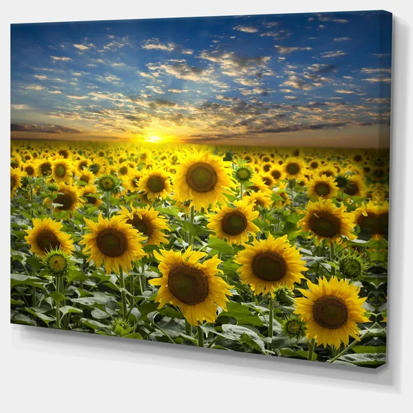 Design Art Field of Blooming Sunflowers Photographic Print on Wrapped Canvas - Green