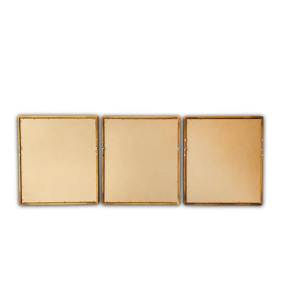 (Set of 3) 20x22 x 20x22 Dragonflies Wood Framed Wall Canvas - Gallery 57 - 20 x 20 inches