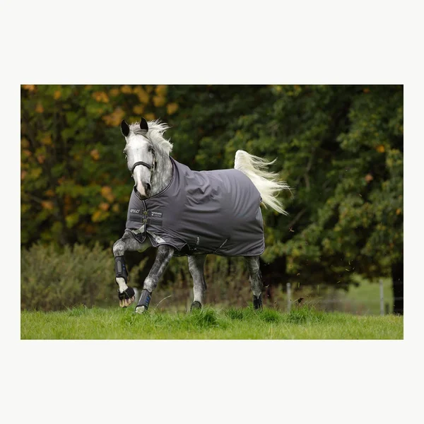 Amigo Bravo 12 Original Turnout Blanket (250g Medium)