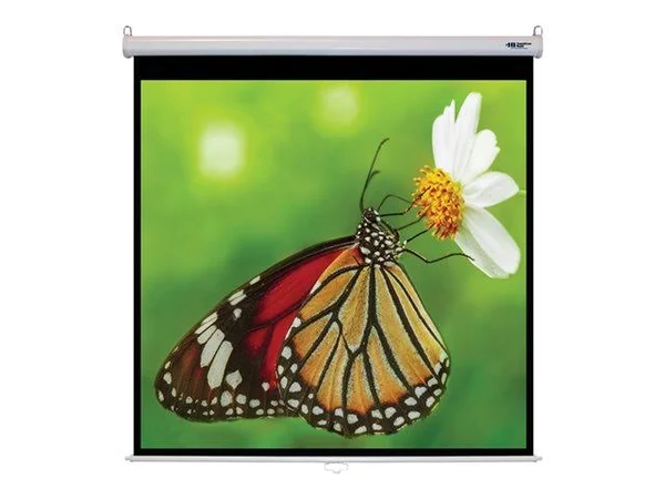70x70 Wall Mount Projector Screen WS-W70