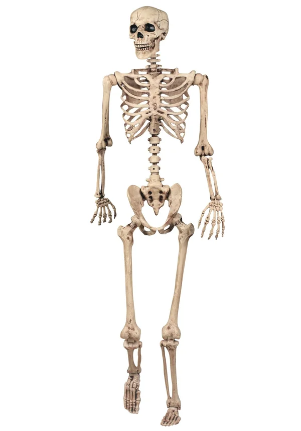 ThinkGeek Skeleton Poseable Halloween Decoration - Beige, 15.50" x 6.50" x 62"