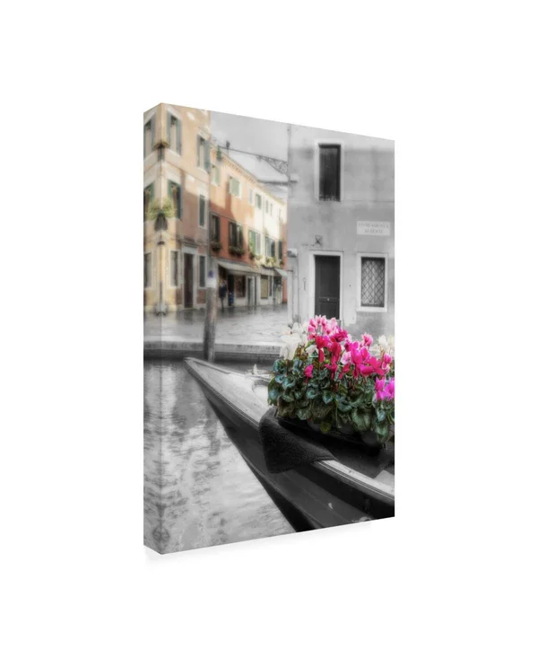 Trademark Art Alan Blaustei 'Canal Fiori #1' Canvas Art