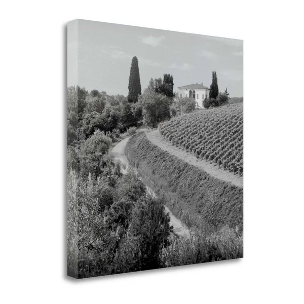 Tangletown Fine Art Tuscany, 5x22 by Alan Blaustein, Giclee Print on Gallery Wrap Canvas, 35x22X35x22