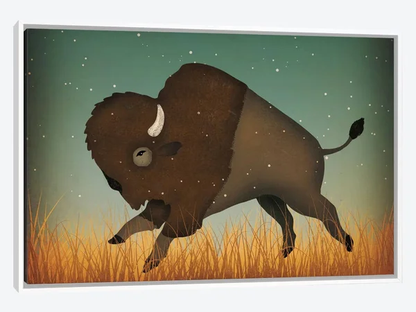 Framed Canvas Art (White Floating Frame) - American Bison (Buffalo) by Ryan Fowler ( Animal Art > Wildlife > Bison &