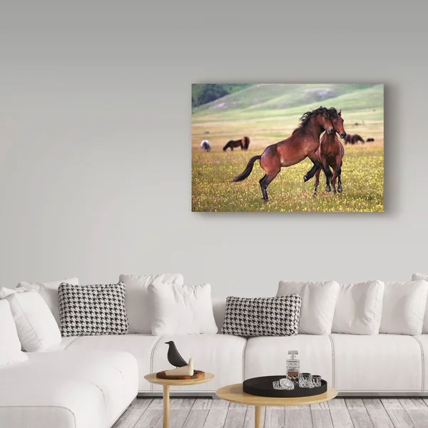 Trademark Art Vedran Vidak 'Horse Games' Canvas Art